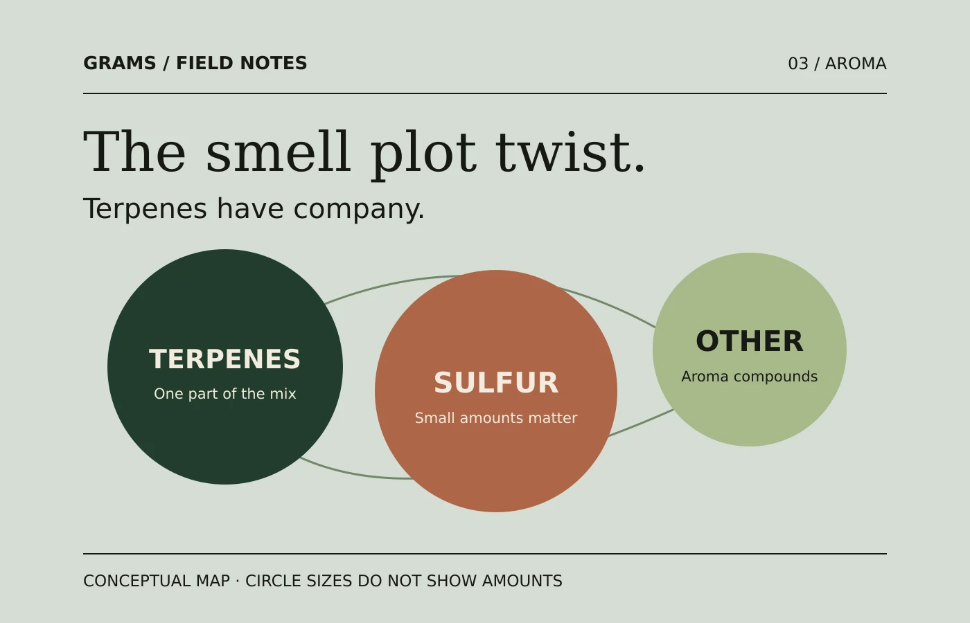A cannabis aroma diagram showing terpenes, volatile sulfur compounds and other aroma compounds as separate contributors.