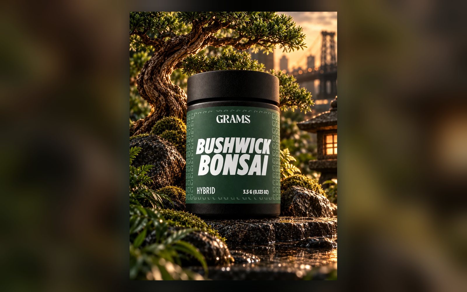 Grams Bushwick Bonsai hybrid 3.5g flower jar beside a bonsai tree