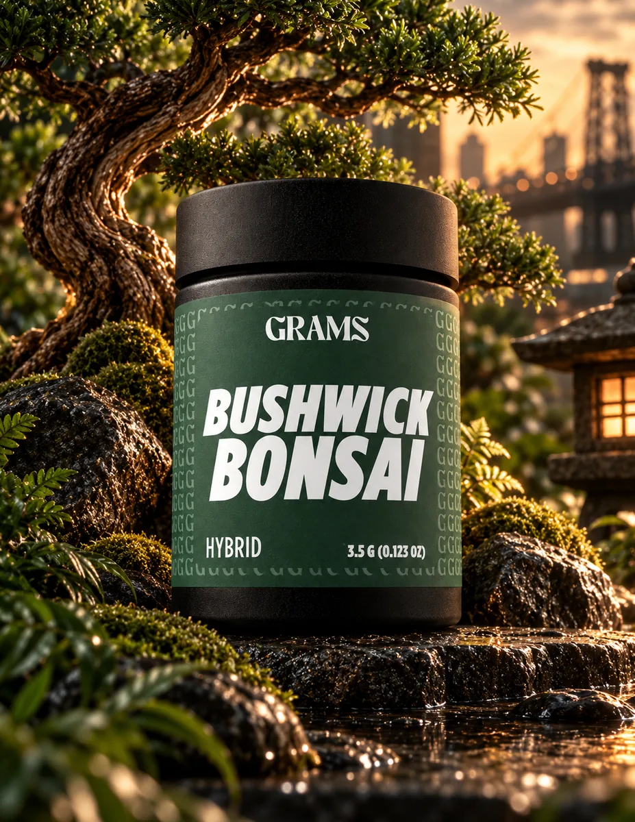 Grams Bushwick Bonsai hybrid 3.5g flower jar
